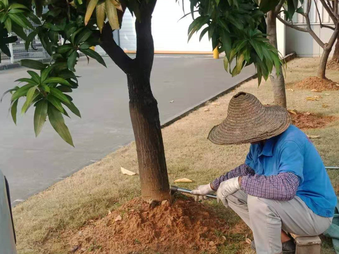 小區(qū)綠化養(yǎng)護松土
