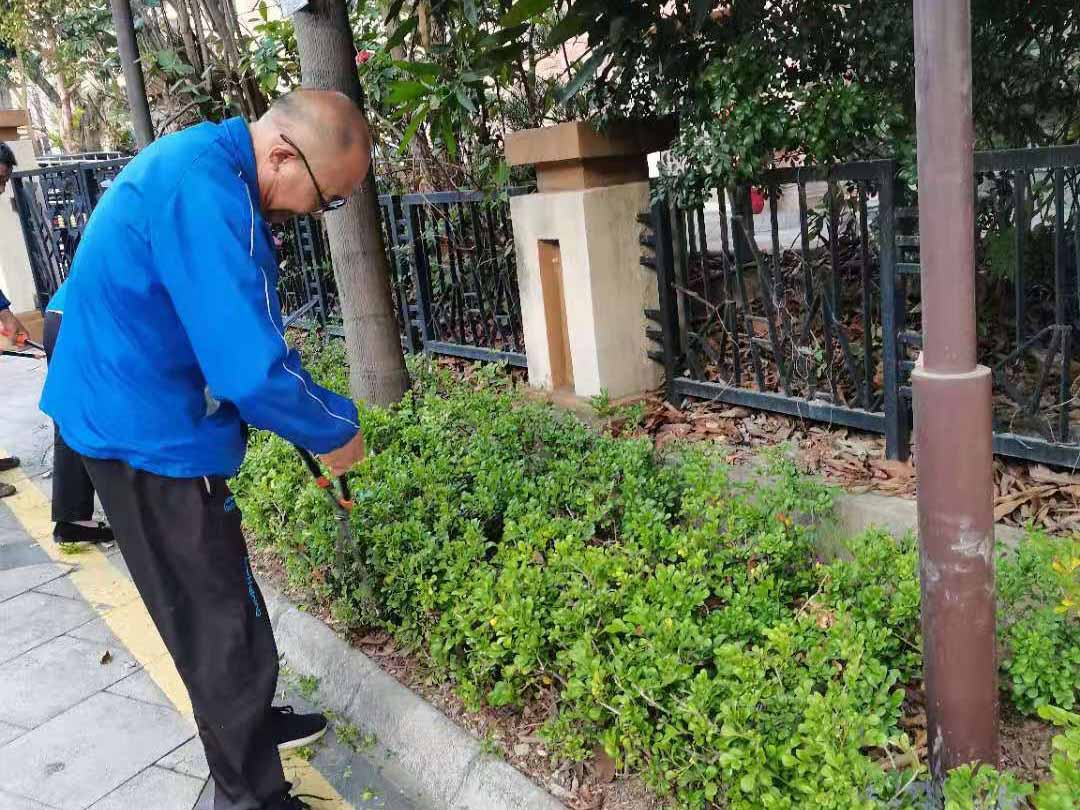 小區綠化養護修剪