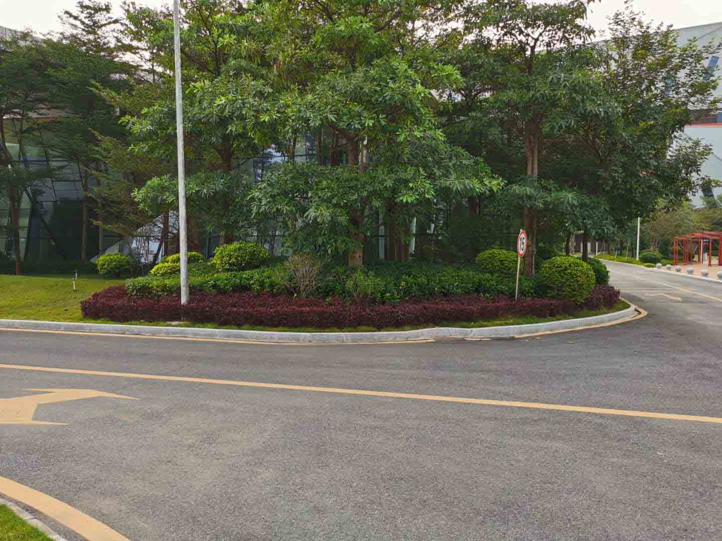 道路綠化養護