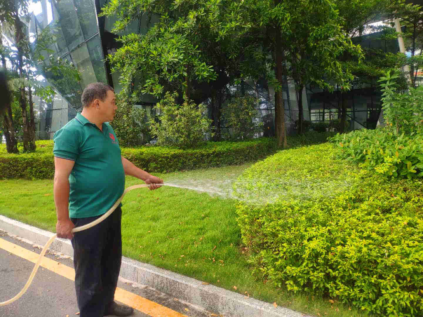 園林綠化工程后期養護澆水