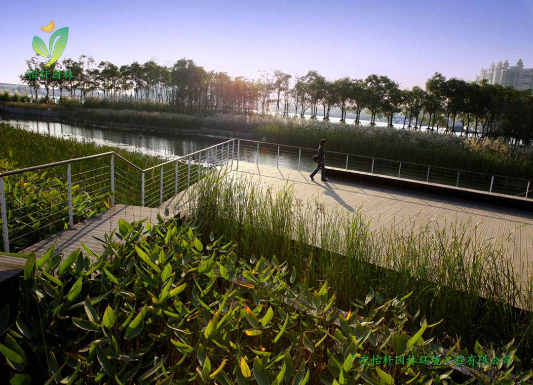 上海世博后灘公園景觀設計改造案例效果圖