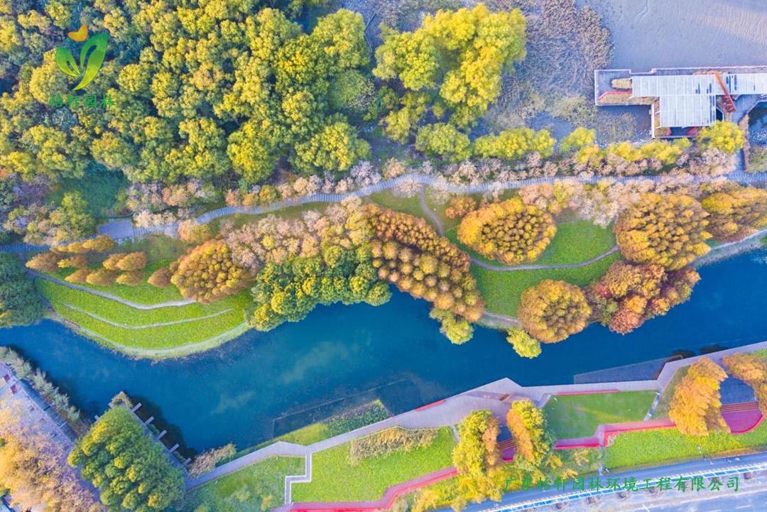 上海世博后灘公園景觀設計改造案例效果圖