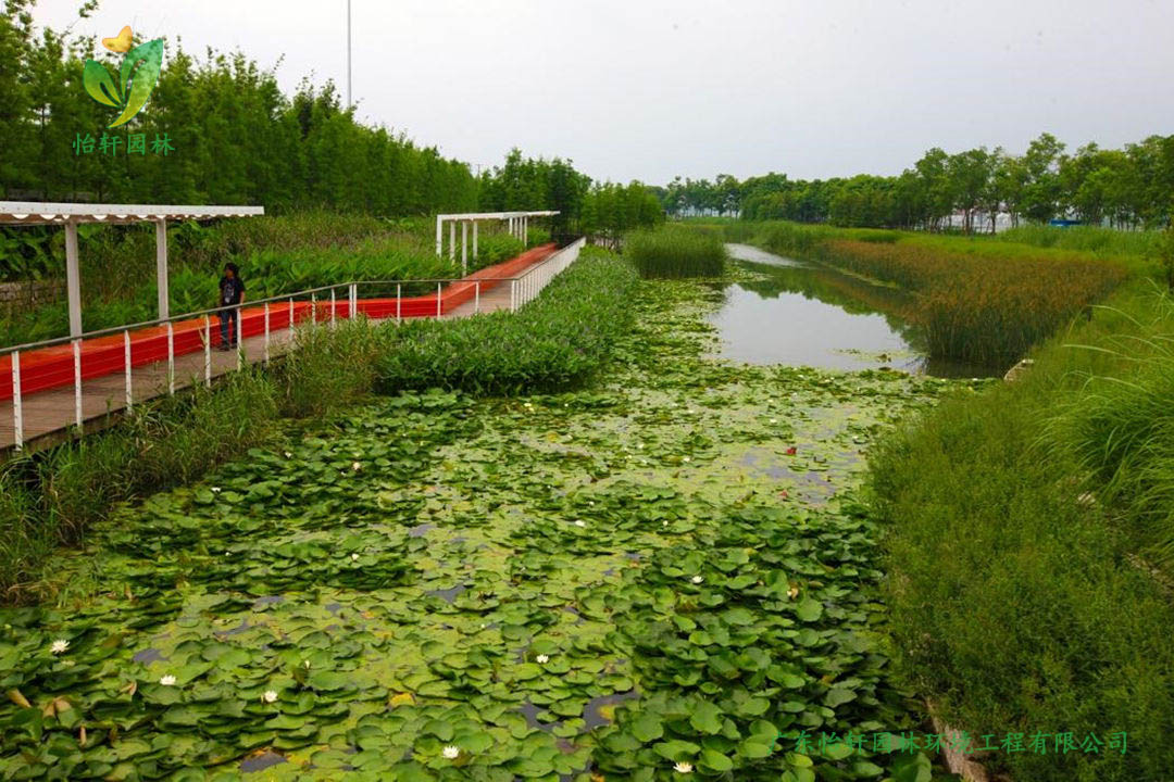 上海世博后灘公園景觀設計改造案例效果圖