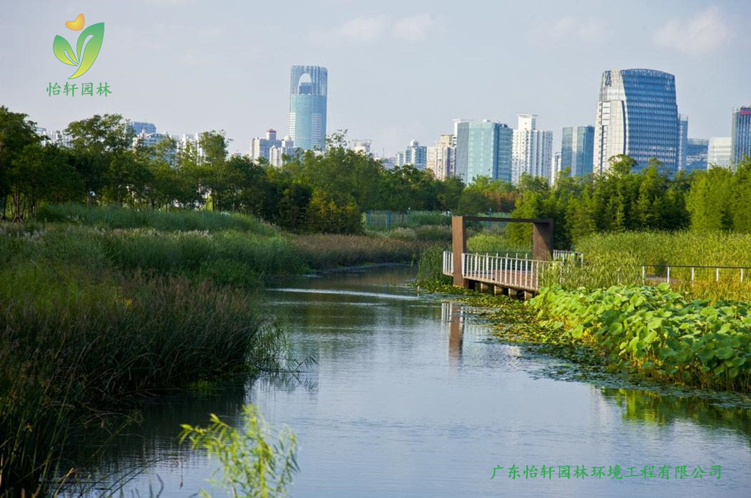 上海世博后灘公園景觀設計改造案例效果圖