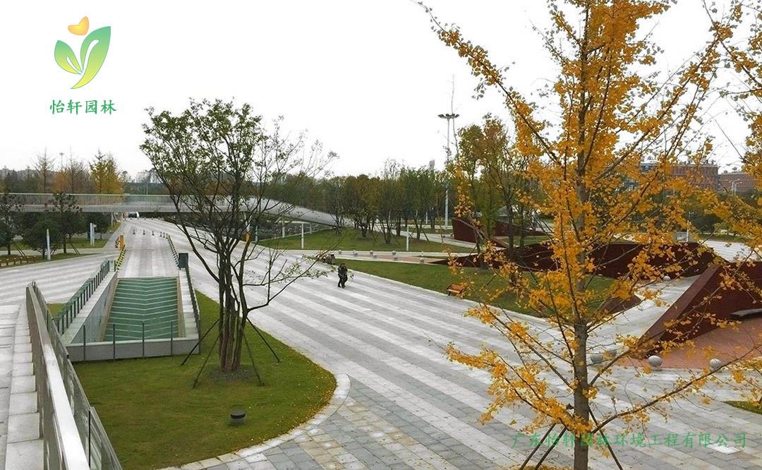 江蘇省揚(yáng)州李寧體育公園景觀設(shè)計(jì)案例效果圖