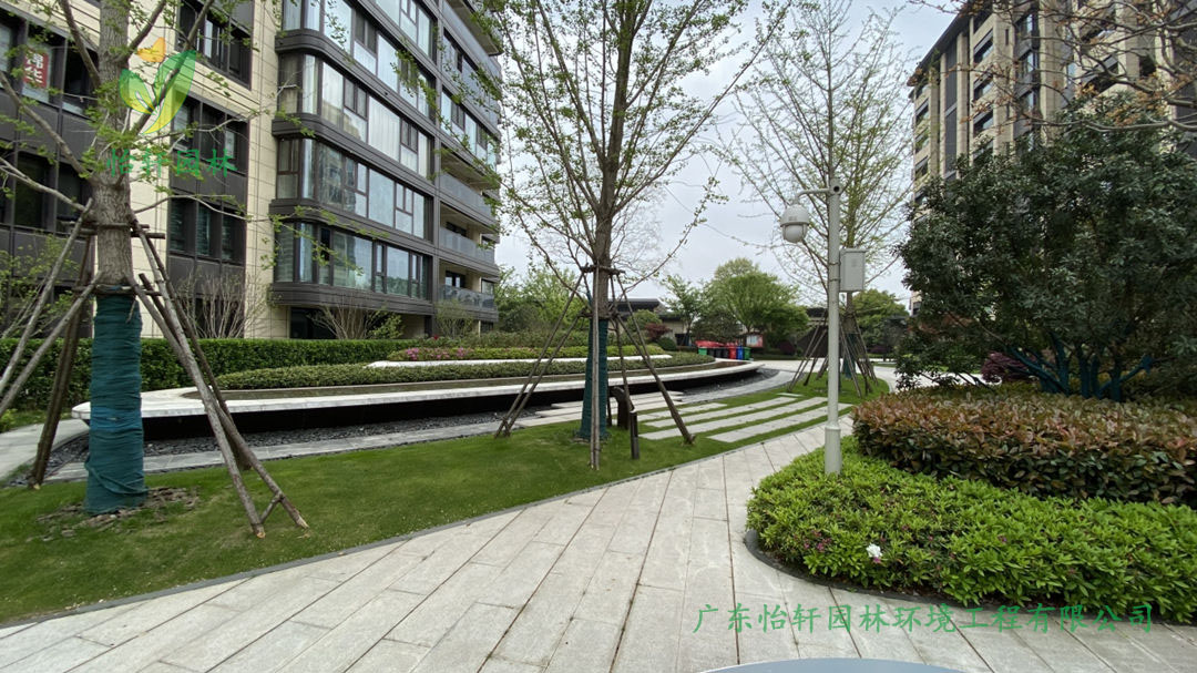 2肇慶碧桂園玖龍灣公館小區綠化工程改造案例圖