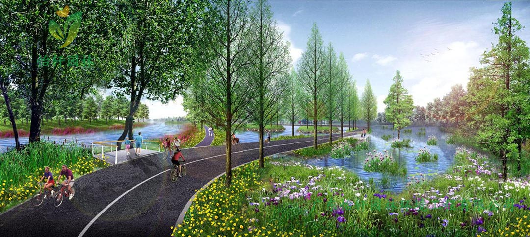 湖北荊州環長湖濕地公園綠化景觀設計案例效果圖