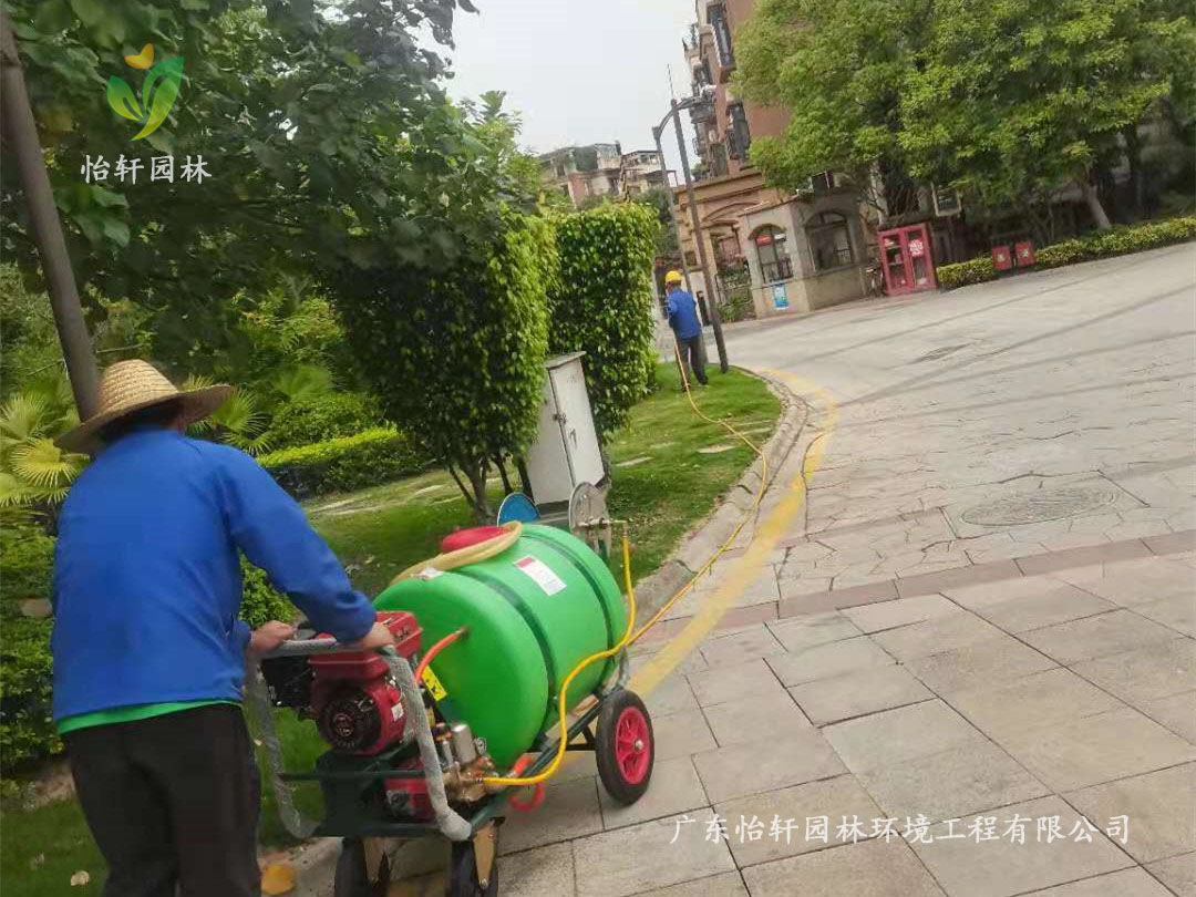 深圳龍華觀湖園別墅小區綠化養護