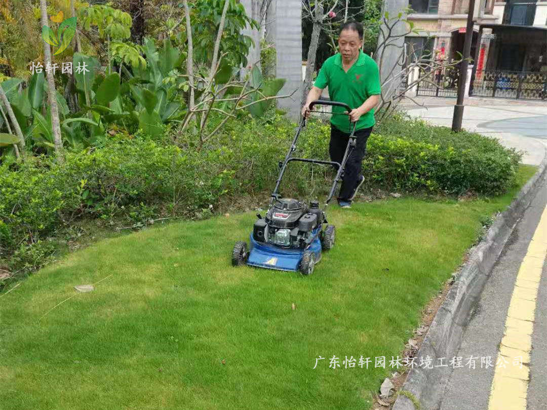 深圳龍華觀湖園別墅小區綠化養護