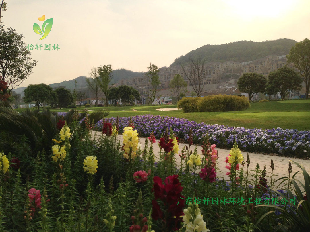 南山復(fù)地山與城別墅小區(qū)綠化工程實(shí)景圖