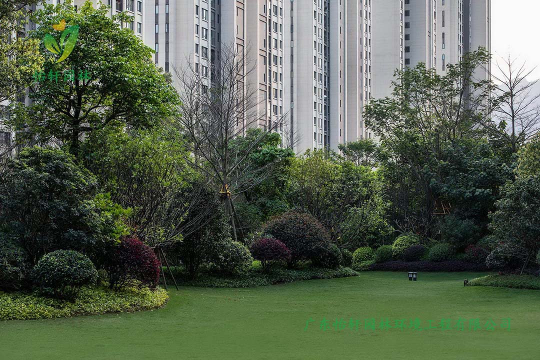 福州中海·寰宇天下小區綠化工程實景圖