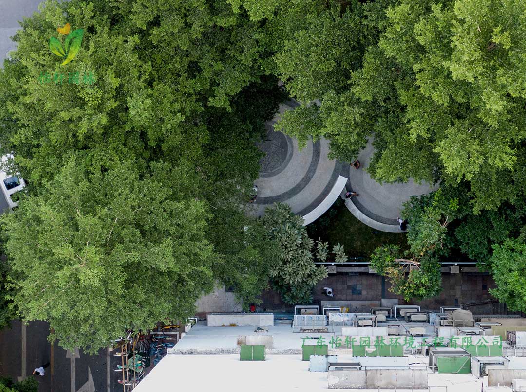東山少爺南廣場社區公園綠化工程實景圖