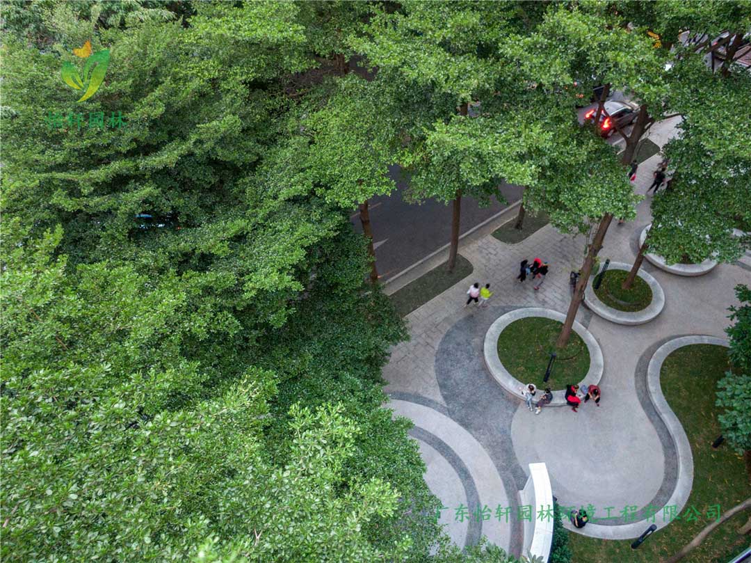東山少爺南廣場社區公園綠化工程實景圖