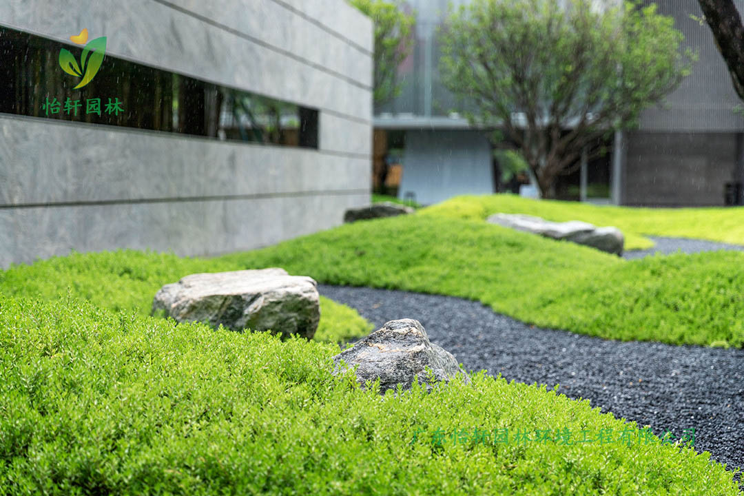 保利廣鋼225地塊住宅區綠化工程施工改造實景圖