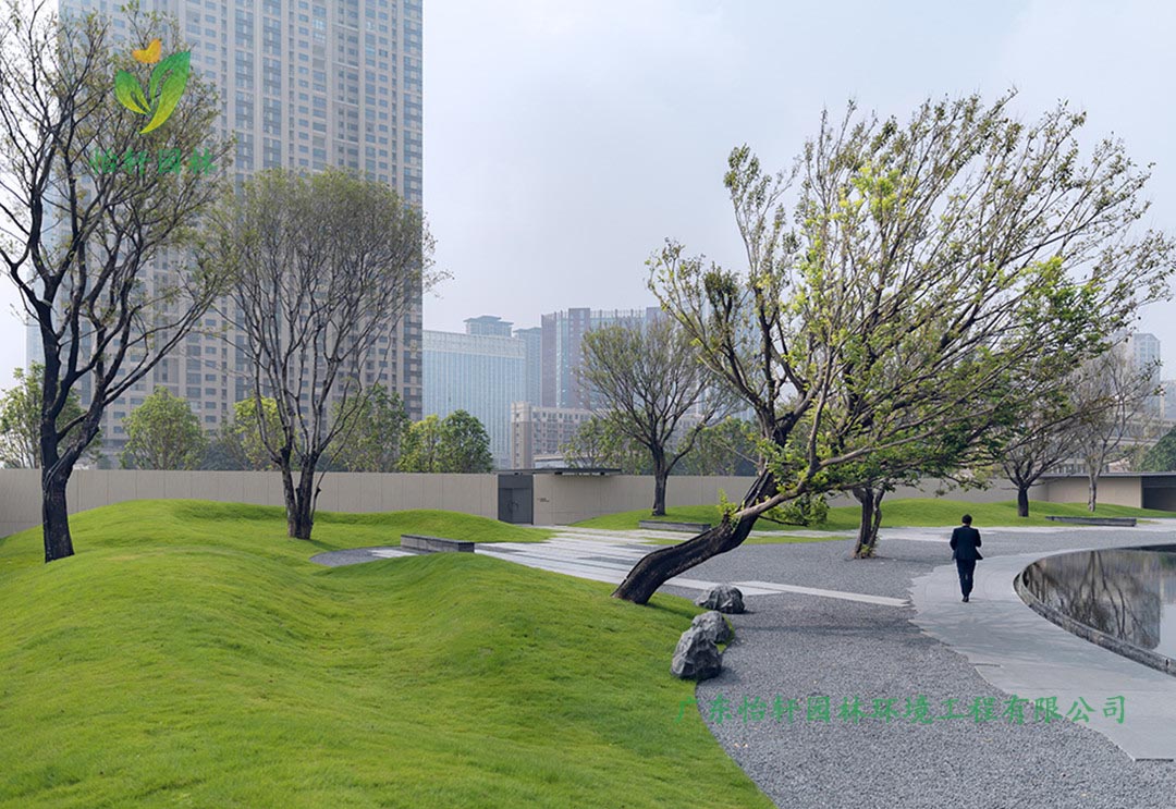 佛山市南海區良溪保利天悅小區綠化工程實景圖