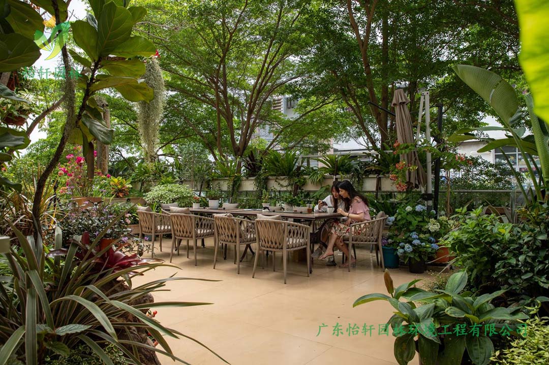 創意園7號樓屋頂花園綠化工程施工改造實景圖