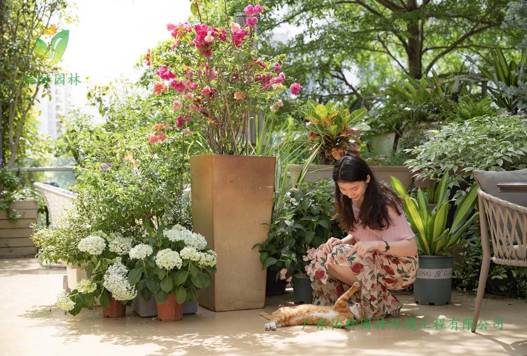 創意園7號樓屋頂花園綠化工程施工改造實景圖