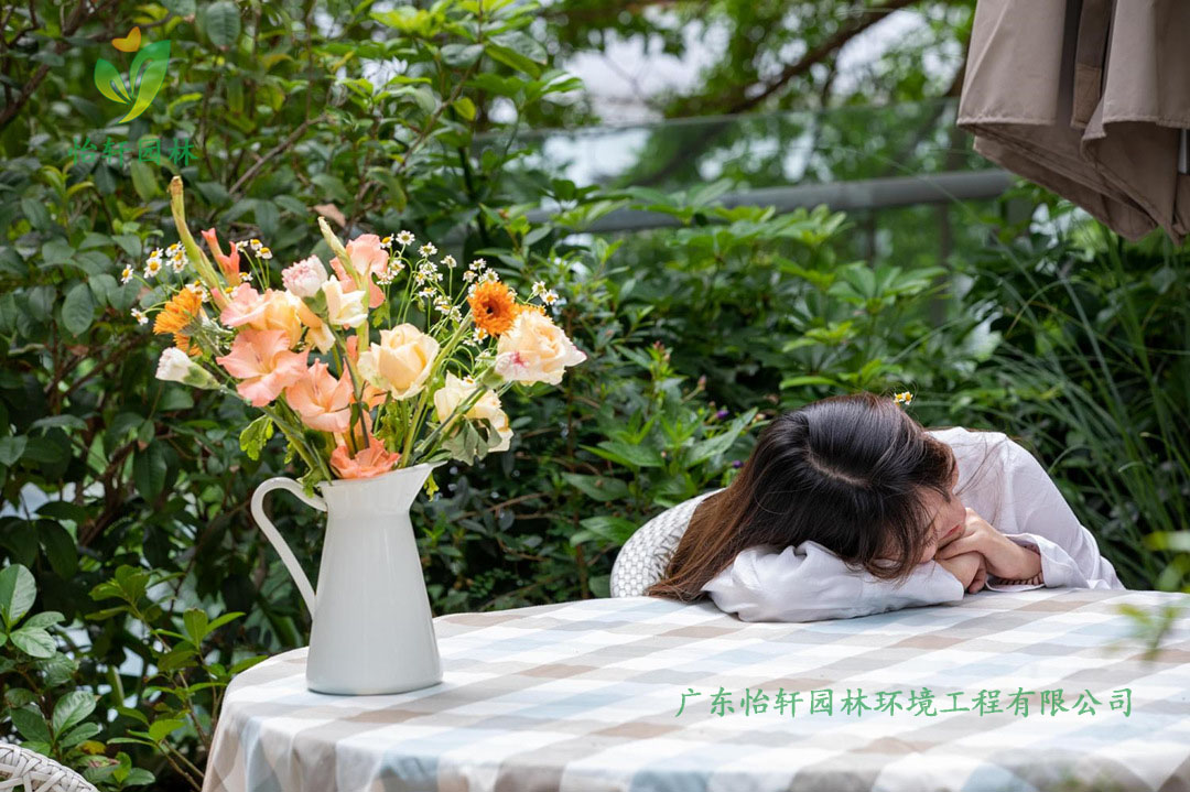 創意園7號樓屋頂花園綠化工程施工改造實景圖