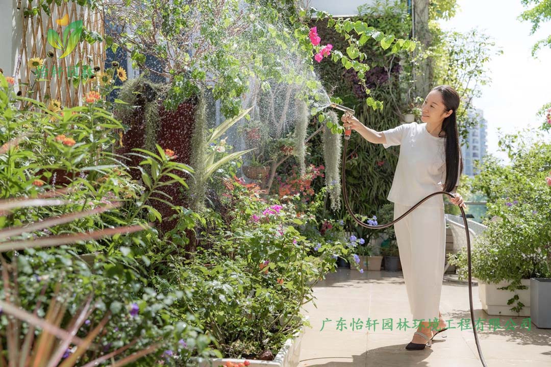 創意園7號樓屋頂花園綠化工程施工改造實景圖