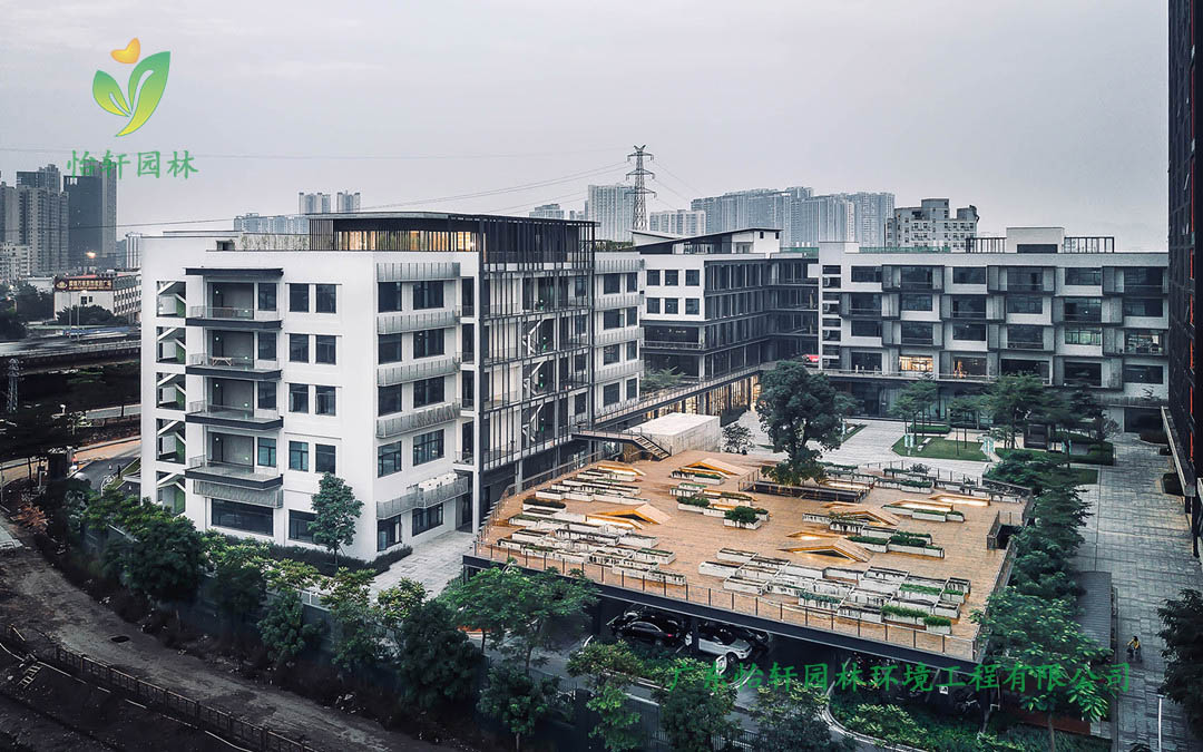 全至科技創新園種植平臺和體驗館綠化工程實景圖