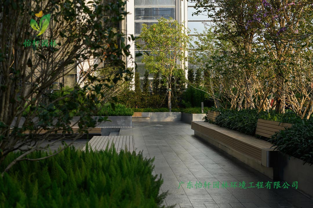 深圳萬象天地商業(yè)街花園綠化工程實景圖