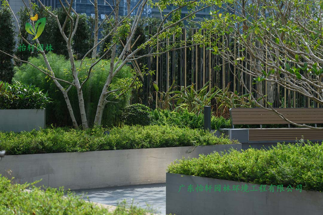 深圳萬象天地商業(yè)街花園綠化工程實景圖