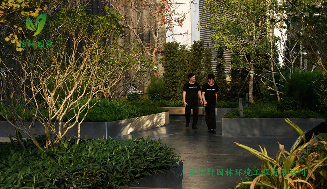 深圳萬象天地商業(yè)街花園綠化工程實景圖
