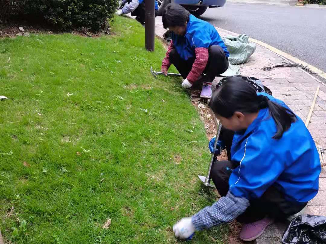 小區綠化養護