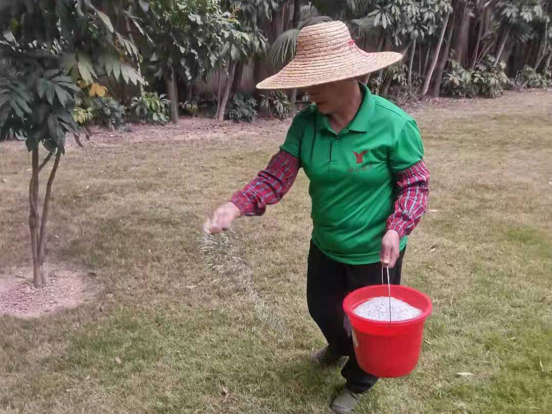 怡軒園林綠化公司秋季綠化養護施肥