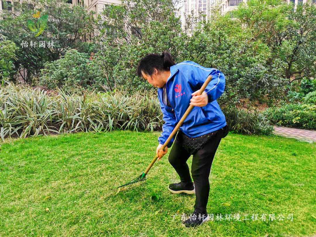 小區綠化養護清理落葉