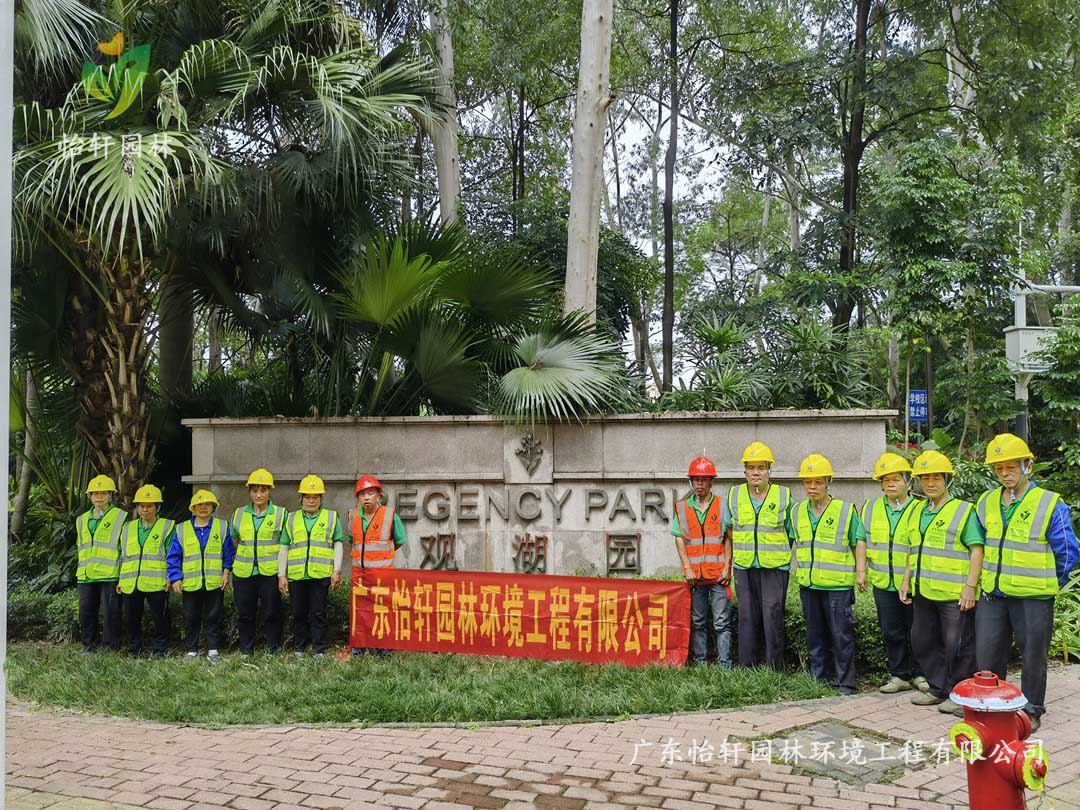 深圳龍華觀湖園別墅小區綠化養護