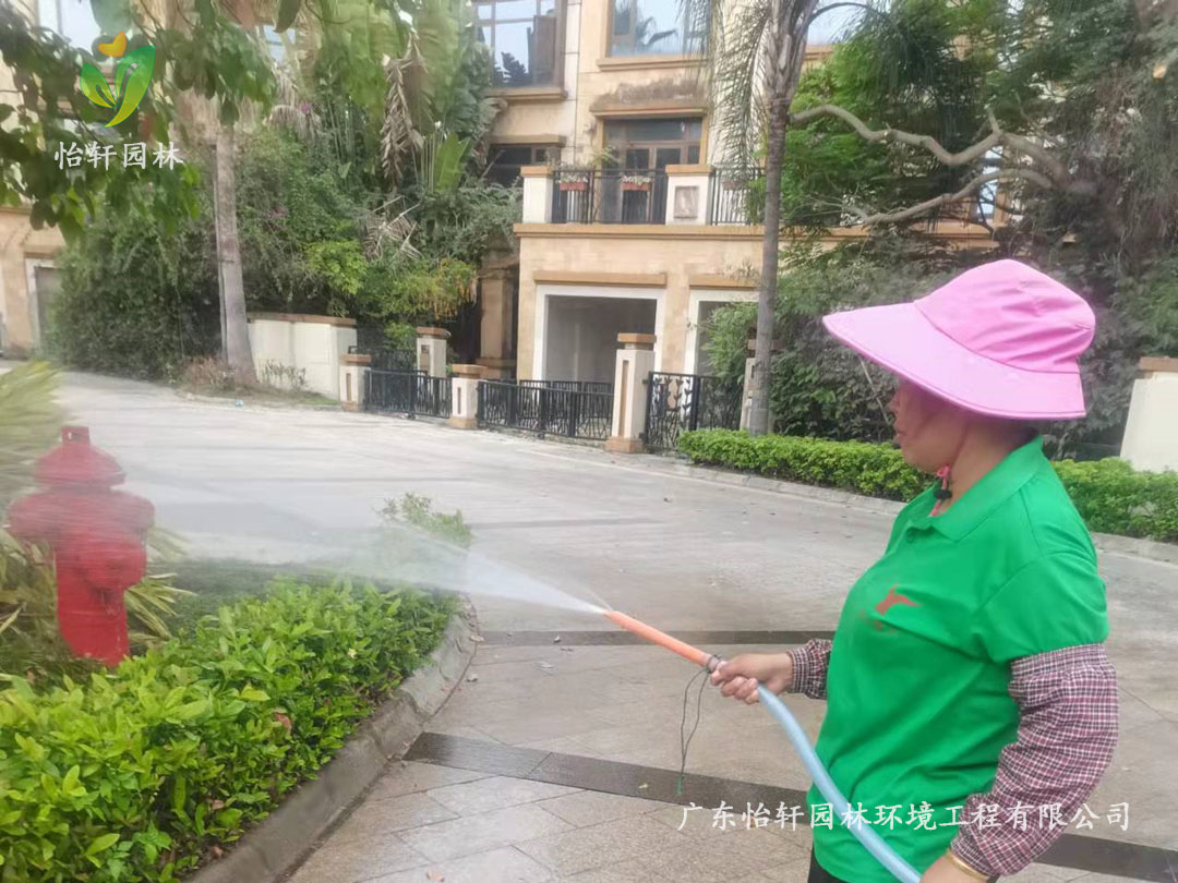 深圳龍華觀湖園別墅小區綠化養護