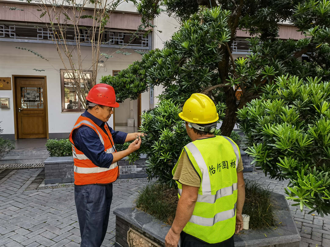 怡軒園林綠化公司十一月日常養護