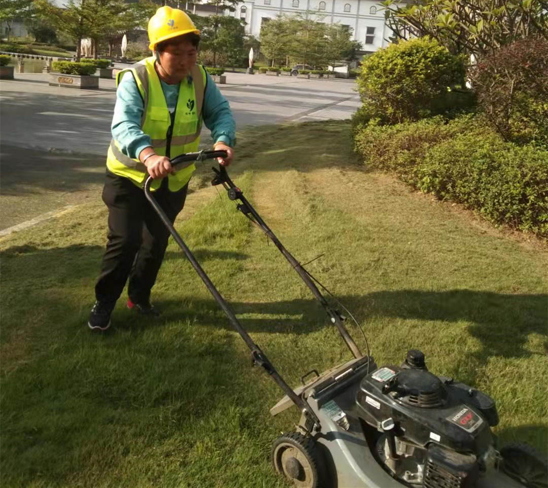 工廠園區綠化養護草坪管理