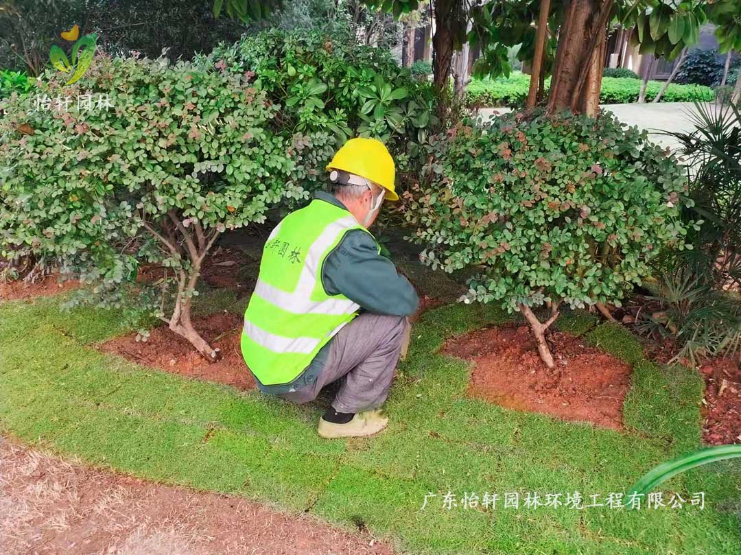 廣州雪域瀾庭小區綠化養護工作現場圖