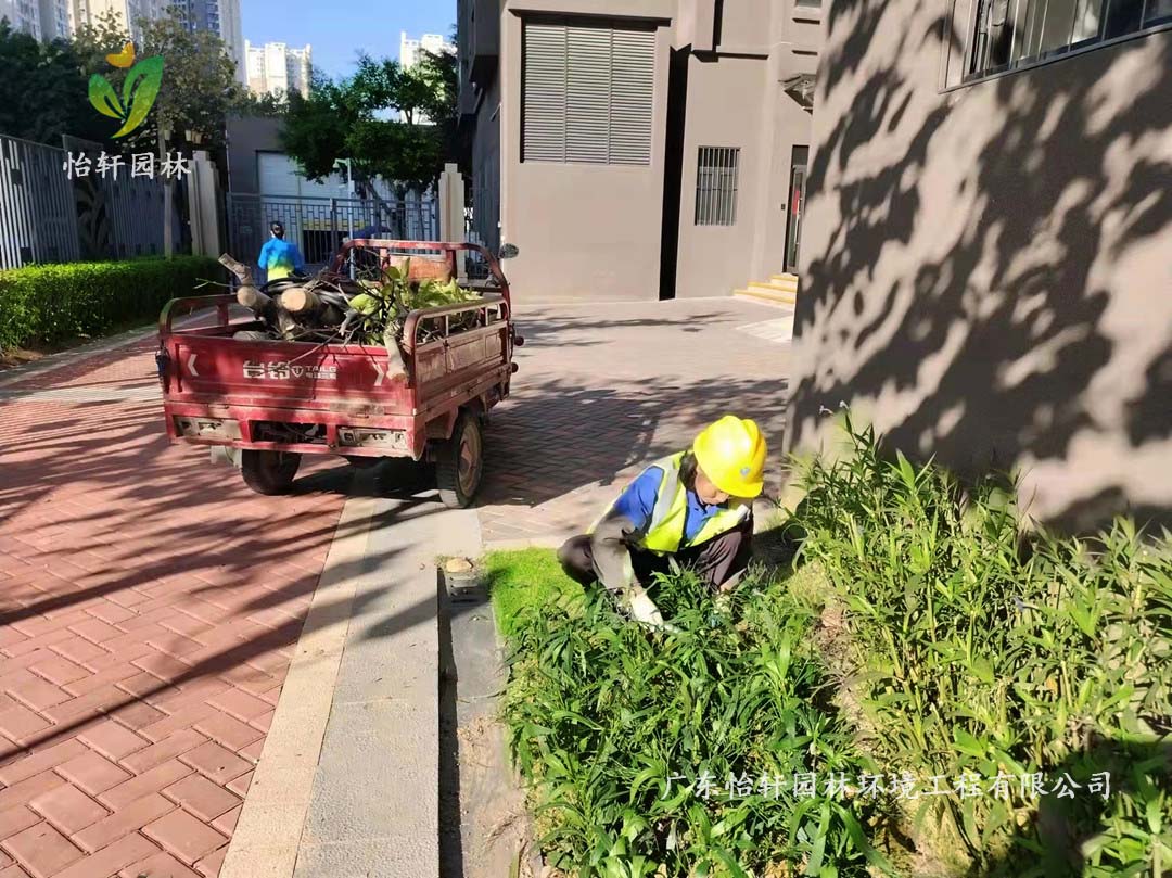 廣州雪域瀾庭小區綠化養護工作現場圖