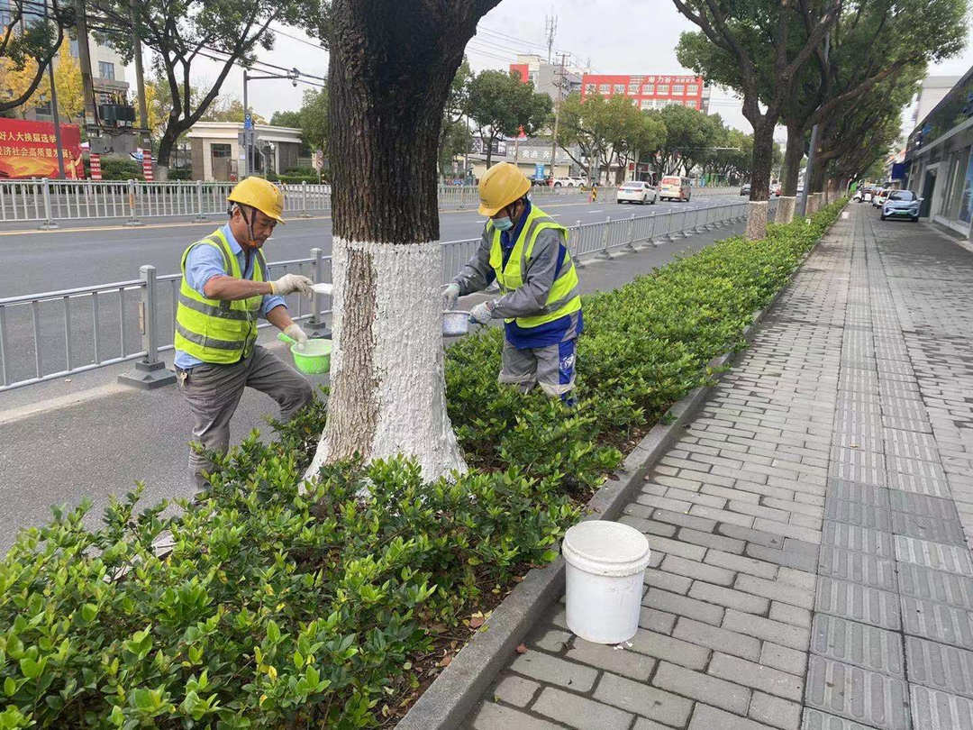 綠化養護苗木涂白