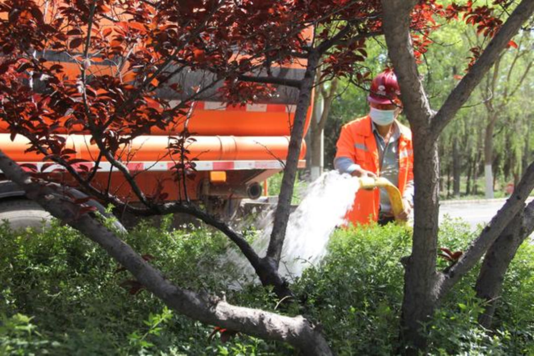 城區道路綠化養護澆水