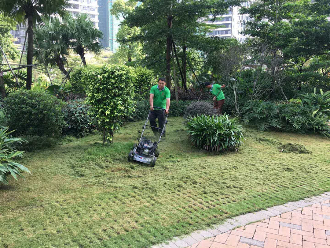 小區綠化養護修剪