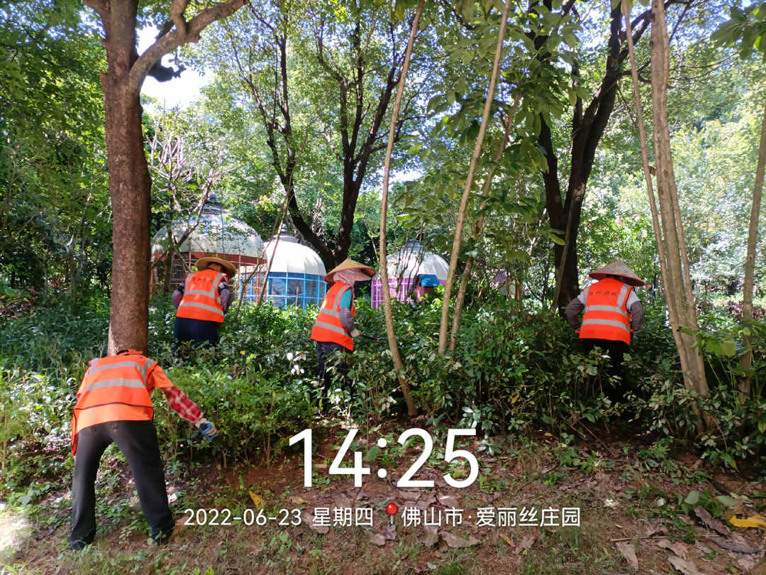 美的鷺湖度假區(qū)綠化養(yǎng)護