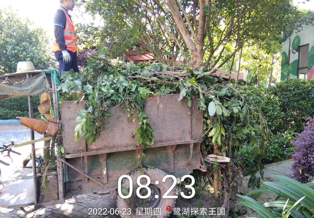 園林綠化養(yǎng)護工人正在清理枝葉