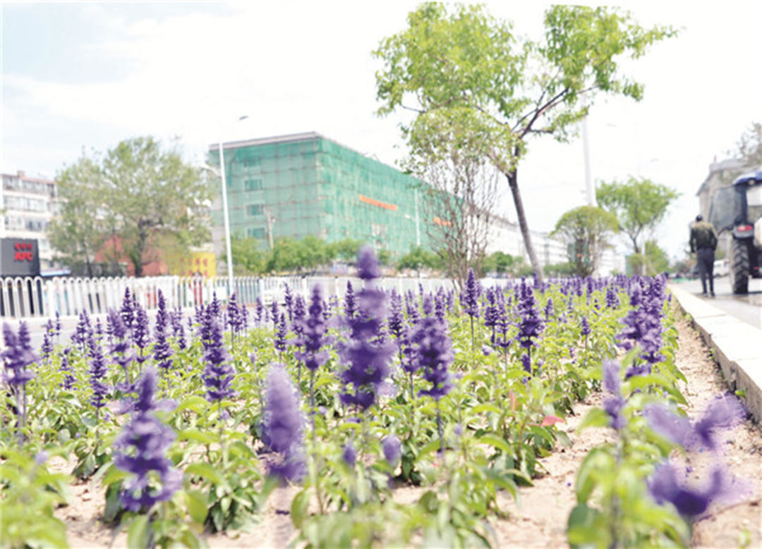 吉林省延吉市：積極加快推進(jìn)城市園林綠化提升工程，迎接延邊建州70周年！