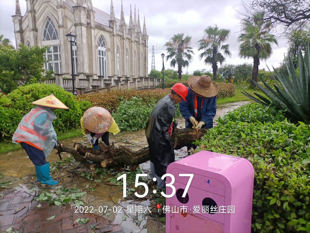 園林綠化養護工人正在清理倒伏的樹木