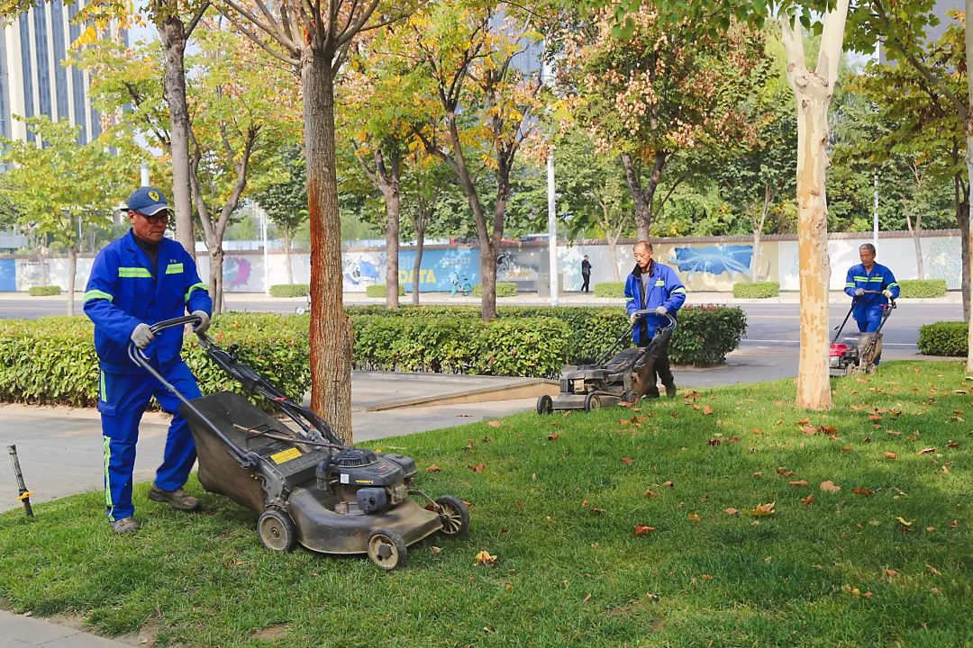 秋季園林綠化養護草坪修剪