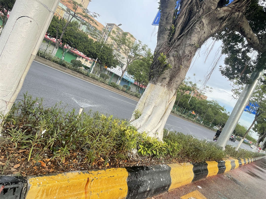園林綠化養護樹木涂白