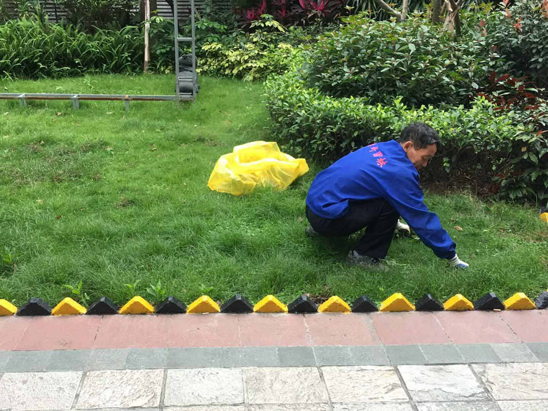 住宅小區綠化養護