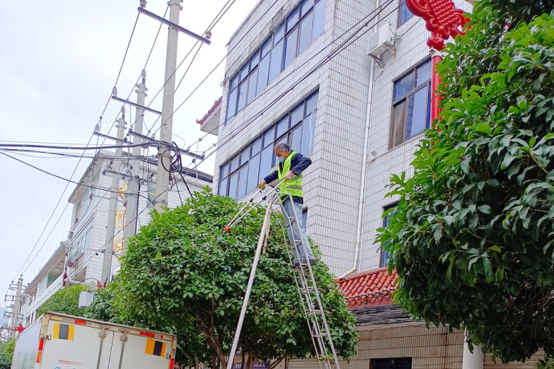 春季園林綠化養護修剪