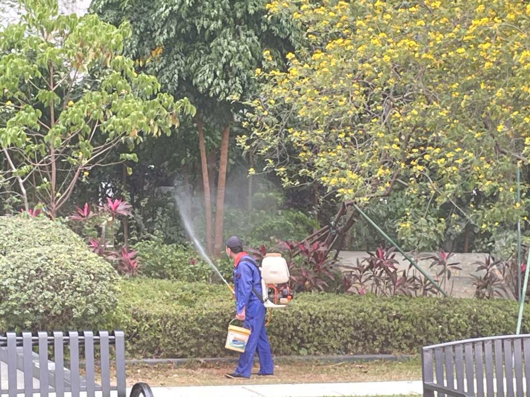 小區綠化養護噴施殺菌劑