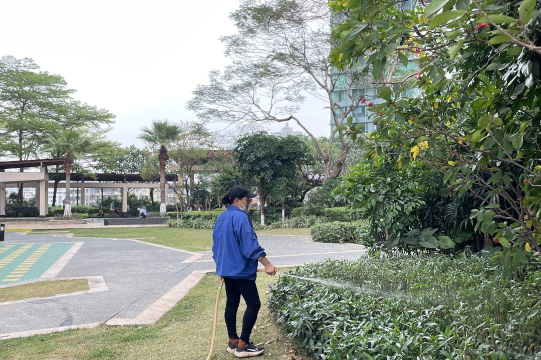園林綠化養護澆水