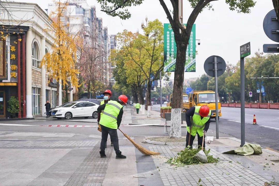 園林綠化養護清理樹枝